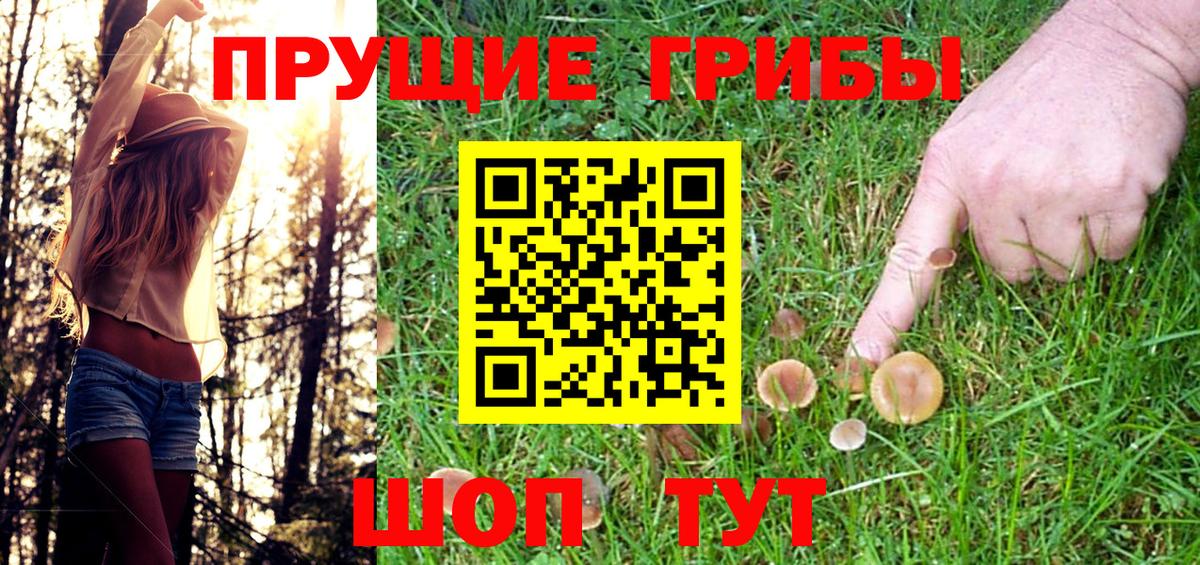 Псилоцибиновые грибы мицелий  Вход с VPN  Галлюциногенные грибы Psilocybine cubensis  Балашиха 